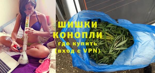 PSILOCYBIN Нефтекумск