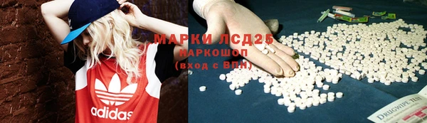 PSILOCYBIN Нефтекумск