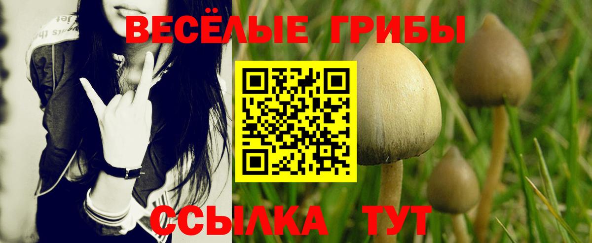 Галлюциногенные грибы мицелий Красноперекопск